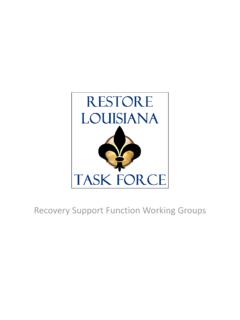 Recovery Support Function Working Groups