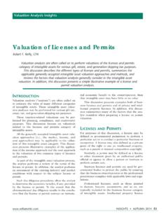 Valuation of Licenses and Permits - Business Valuation Firm