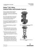 Fisher GX 3 Way Control Valve and Actuator System