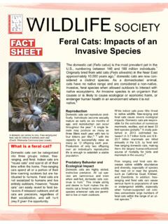 Feral Cats: Impacts of an Invasive ... - The Wildlife Society