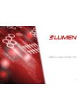 MAKING GLOBAL CONNECTIONS - Lumen