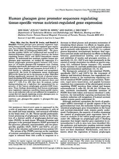 Human glucagon gene promoter sequences …