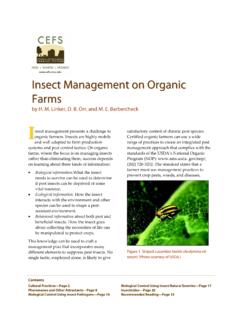 Insect Management on Organic Farms
