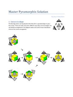 Master Pyramorphix Solution - Meffert's