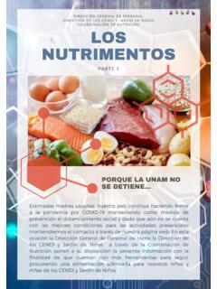 Los Nutrimentos Parte 1. Macronutrimentos - UNAM
