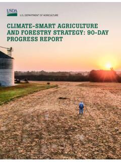 Climate-Smart Agriculture and Forestry Strategy: 90-Day ...
