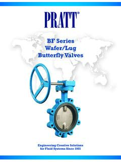 BF Series Wafer/Lug Butterfly Valves - Henry Pratt Company