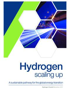 Hydrogen Scaling Up Hydrogen Council