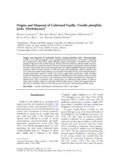 Origins and Dispersal of Cultivated Vanilla (Vanilla ...