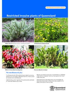 Restricted invasive plants of Queensland