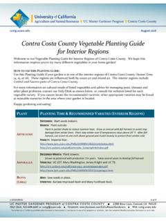CCC Vegetable Planting Guide for Interior Regions