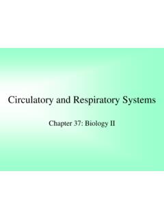 Circulatory and Respiratory Systems - Science Class: Mrs ...