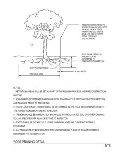 root prune detail - Montgomery Planning