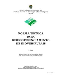 NORMA T&#201;CNICA PARA GEORREFERENCIAMENTO …