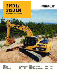 Specalog for 319D L/319D LN Hydraulic Excavators - TRACSA