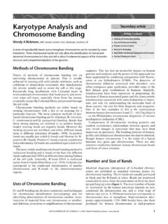 Karyotype Analysis and Chromosome Banding