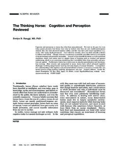 The Thinking Horse: Cognition and Perception Reviewed
