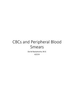 CBCs and Peripheral Blood Smears - Texas Tech University ...