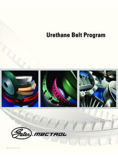 Urethane Belt Program