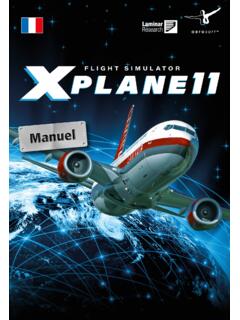 FLIGHT SIMULATOR - X-Plane