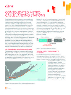 CONSOLIDATED METRO CABLE LANDING STATIONS