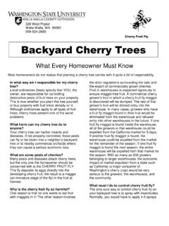 Backyard Cherry Trees - montanacherries.com