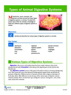Types of Animal Digestive Systems - Mishicot Agriscience