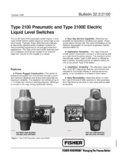 Type 2100 Pneumatic and Type 2100E Electric Liquid Level ...