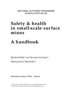 Safety &amp; health in small-scale surface mines A handbook