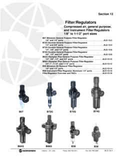 Filter/Regulators - IMI Precision