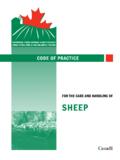 Code of Practice for the Care and Handling of Sheep