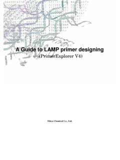 A Guide to LAMP primer designing - PrimerExplorer