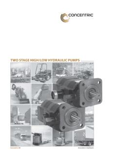 TWO STAGE HIGH/LOW HYDRAULIC PUMPS - …