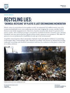 ISSUE BRIEF RECYCLING LIES