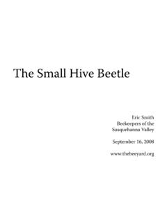 The Small Hive Beetle - Beekeepers of the …