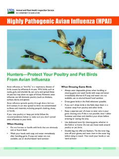 Guidance for Hunters—Protect Yourself and Your Birds From ...