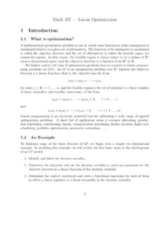 Math 407 — Linear Optimization 1 Introduction
