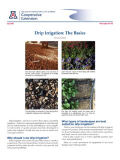 Drip Irrigation: The Basics - University of Arizona