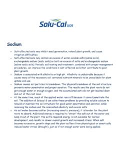Sodium - Solu-Cal