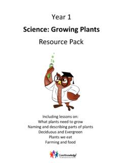 Year 1 Science: Growing Plants Resource Pack