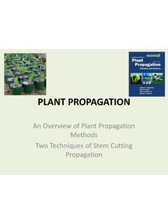 PLANT PROPAGATION - California Rare Fruit Growers, Inc.