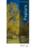 Poplar | No.5 | 2011 Poplars - Poplar and Willow