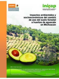 Impactos ambientales y socioecon&#243;micos del cambio de uso ...