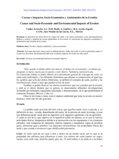 Causas e Impactos Socio-Econ&#243;mico y Ambientales …