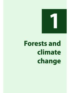 Forests and climate change - Food and Agriculture ...