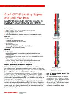 Otis X /XN Landing Nipples and Lock Mandrels - Halliburton