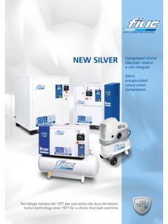 NEW SILVER - FIAC Air Compressor