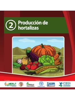 Producci&#243;n de Hortalizas - Food and Agriculture Organization