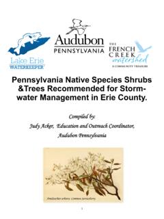 Pennsylvania Native Species Shrubs &amp;Trees Recommended …