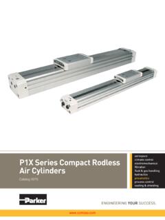 P1X Series Compact Rodless Air Cylinders - Comoso